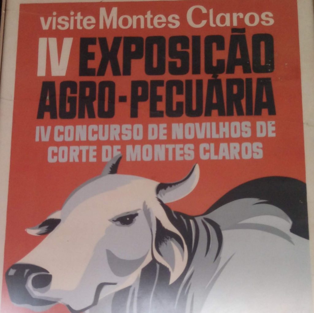 Leia mais sobre o artigo Sociedade Rural 05