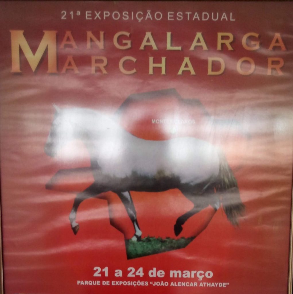 Leia mais sobre o artigo Sociedade Rural 07
