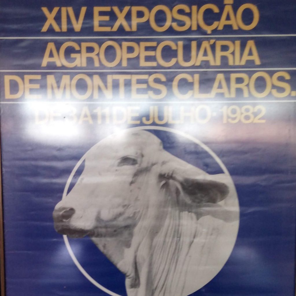 Leia mais sobre o artigo Sociedade Rural 09