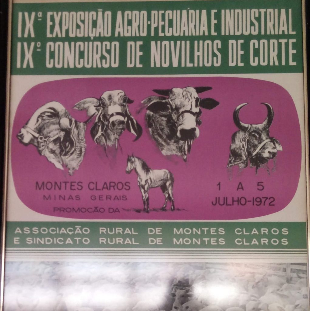 Leia mais sobre o artigo Sociedade Rural 12