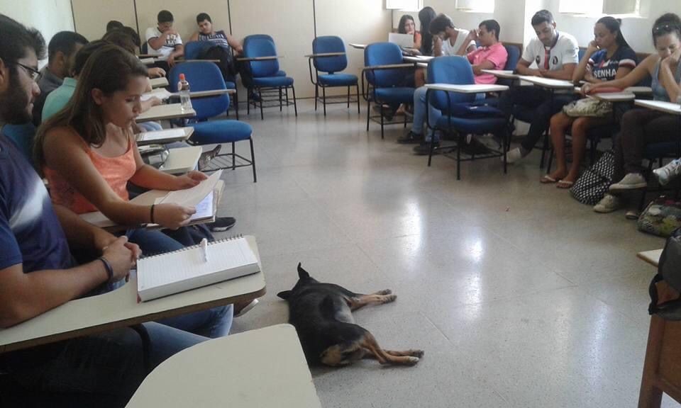 Aula teórica de Lazer/2016 Unimontes