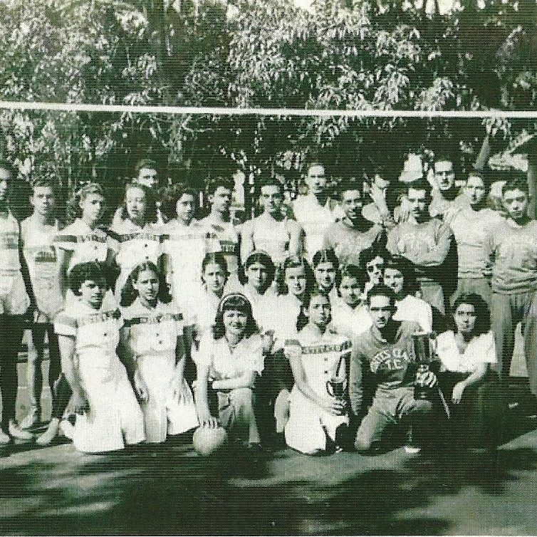 Leia mais sobre o artigo 1947 (2)